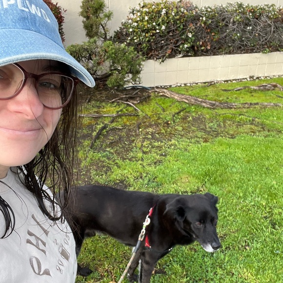 Meet your Posher, Lili - Picture 1 of 1